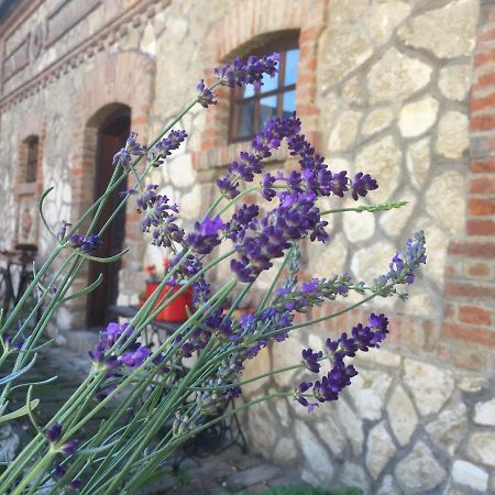 Hotel Levendula Porta és Pajtaszínház Orfű Exterior foto